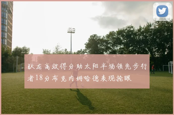 狄龙高效得分助太阳半场领先步行者18分布克内姆哈德表现抢眼