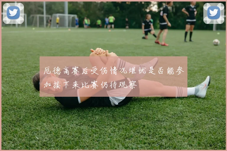 厄德高赛后受伤情况堪忧是否能参加接下来比赛仍待观察
